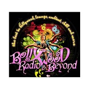 Bollywood radio and beyond logo