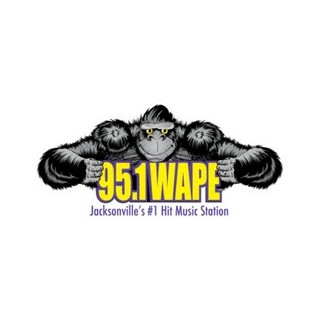 WAPE FM 95.1 logo
