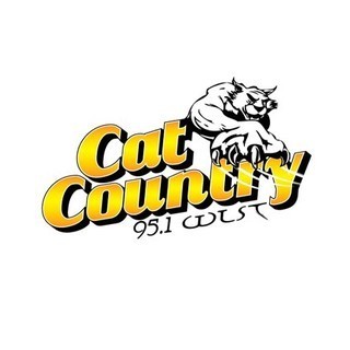 WLST Cat Country 95.1 FM logo