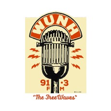 WUNH 91.3 FM logo
