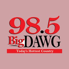 WDWG 98.5 FM logo