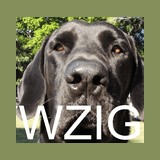 WZIG 104.1 FM logo