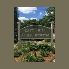 99-East Hill Animal Hospital logo