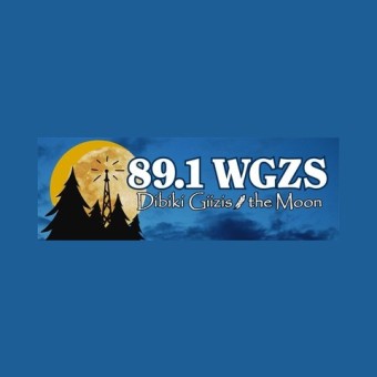 89.1 WGZS logo