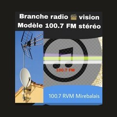 Radio Vision Modèle logo
