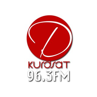 Dengi Kurdsat 96.3 FM logo