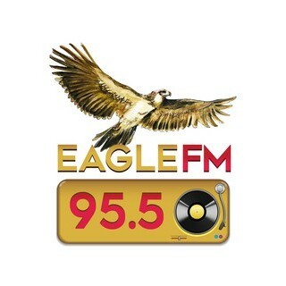 DWDM Eagle FM 95.5 logo