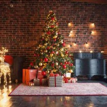 Christmas icon
