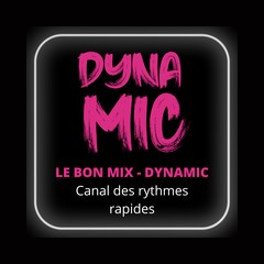 Lebonmix DYNAMIC