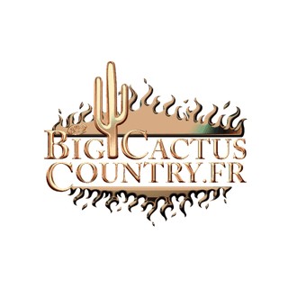 Big Cactus Classic Rock