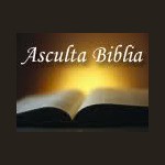 Biblia Audio in Limba Romana