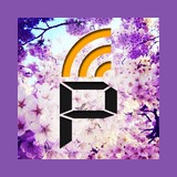 PAWAROTA Radio