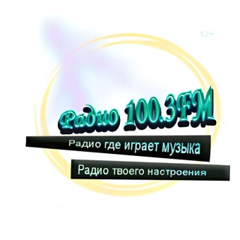 Радио 100.3FM