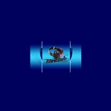 Stereo FM