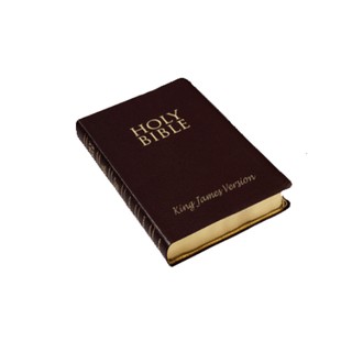 The Berean Bible Study