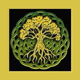 Contemporary Celtic
