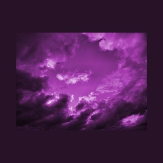 The Purple Zone