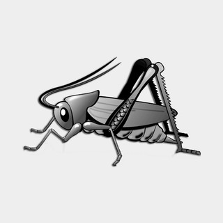 Cricket Radio Country Hits