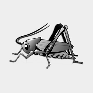 Cricket Radio Gen X