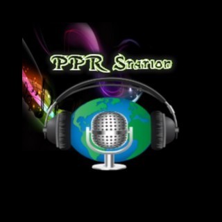 PPR Station