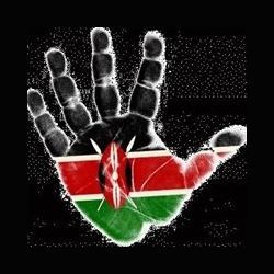 Kenyan USA Vibe