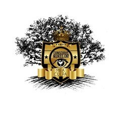 Conscious Minds Radio