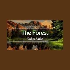 Vacation Radio 365 , The Forest