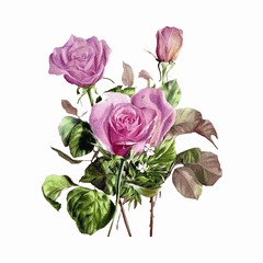 Musikgartenradio der Garten der Musik