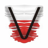 ViennaPLus Polska