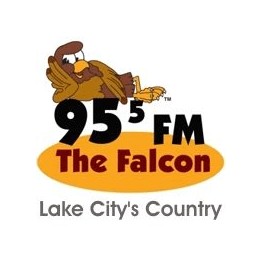 WDSR 95.5 FM The Falcon & 1340