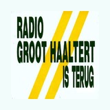 Alt text