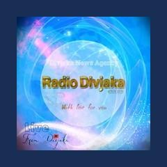 Divjaka Radio
