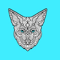Coyote New Country HD