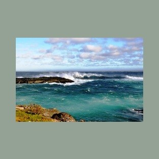 Southern Shore Sounds