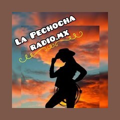 La Pechocha Radio