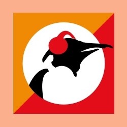 Pinguin Indie