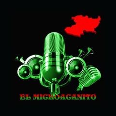 El Michoacanito