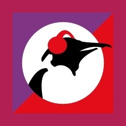 Pinguin Aardschok