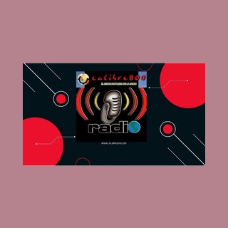 Calibre 800 Radio