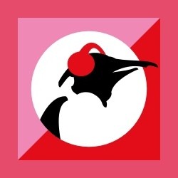 Pinguin Pop
