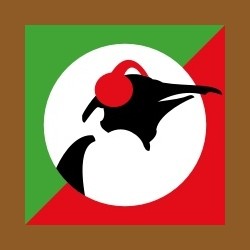 Pinguin World Music