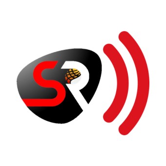 Selten Radio