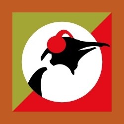 Pinguin Grooves