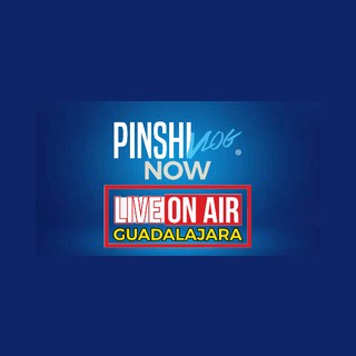 PINSHIVLOG NOW