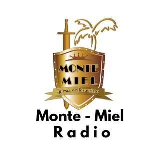 Monte Miel Radio