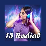13 Radial