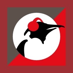 Pinguin Fiesta
