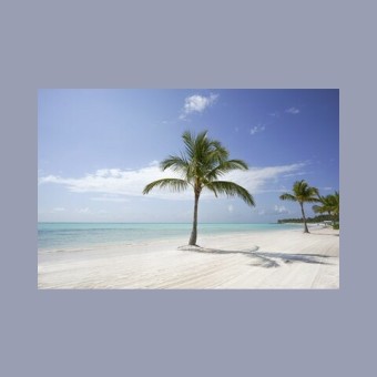 Punta Cana FM