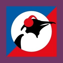 Pinguin Showcase