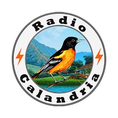 Radio Calandria